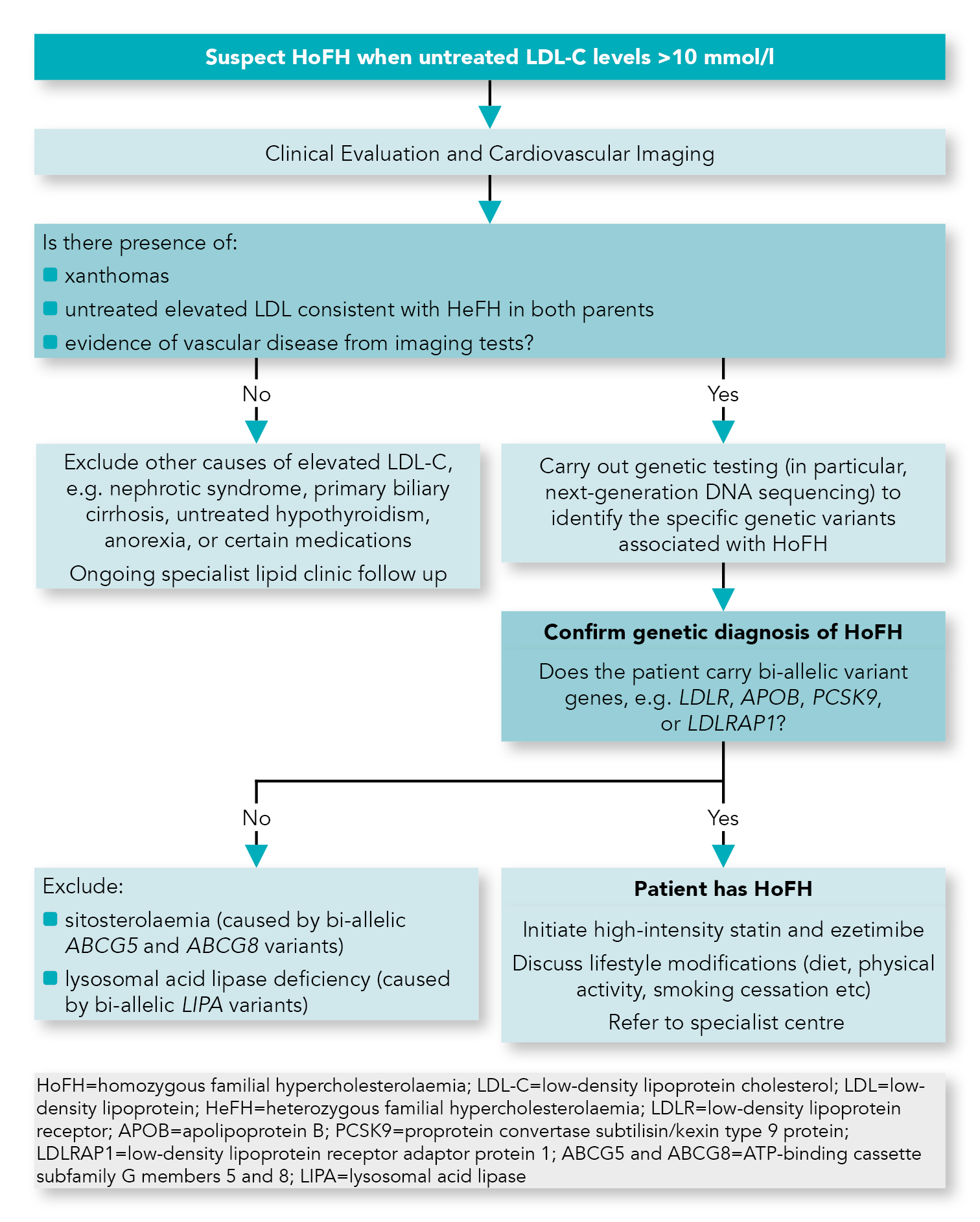 Familial Hypercholesterolaemia EAS